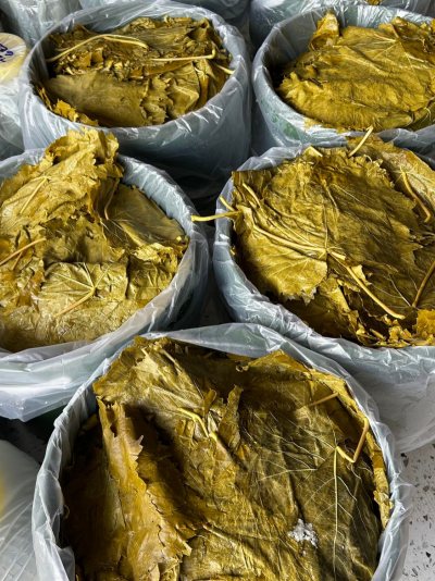 Salamura Yaprak 10 kg