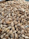 Çıtır Badem 5 kg
