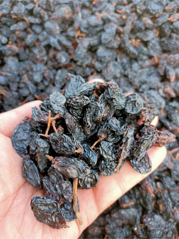 Siyah üzüm 1 kg
