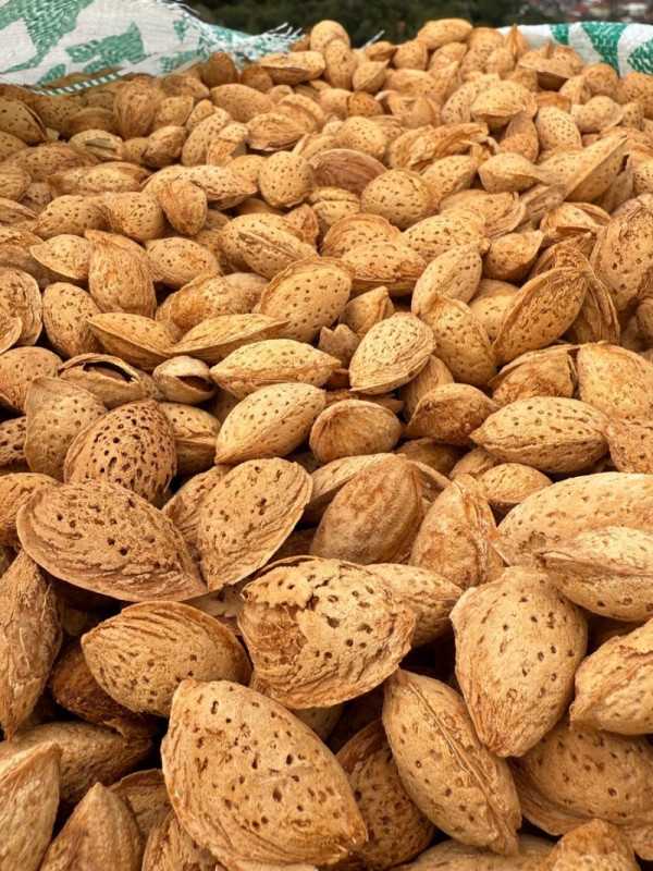 Çıtır Badem 1 kg