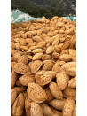 Çıtır Badem 5 kg
