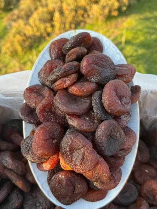 Gün Kurusu 1 kg