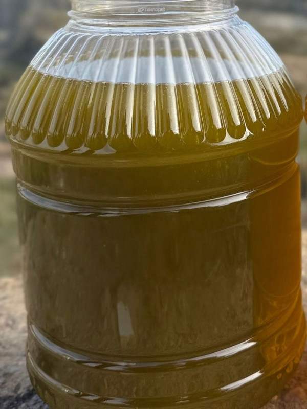 Erken Hasat Zeytinyağı 5 lt