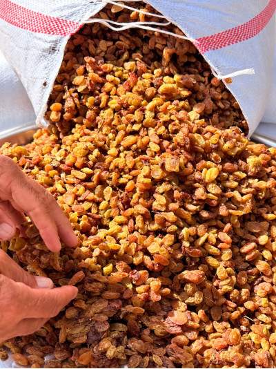 Sultaniye Çekirdeksiz Kuru Üzüm 1 kg | Köy Kokusu