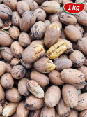 Kabuklu Pikan Cevizi 1 kg.